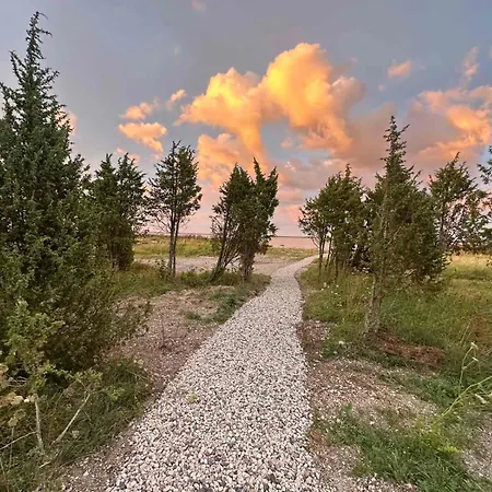 Mereaeaerne Maja Ilusa Vaatega