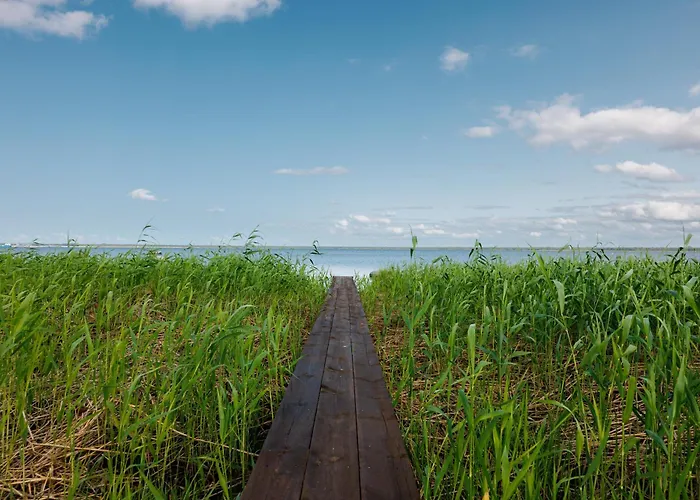 Mereaeaerne Maja Ilusa Vaatega